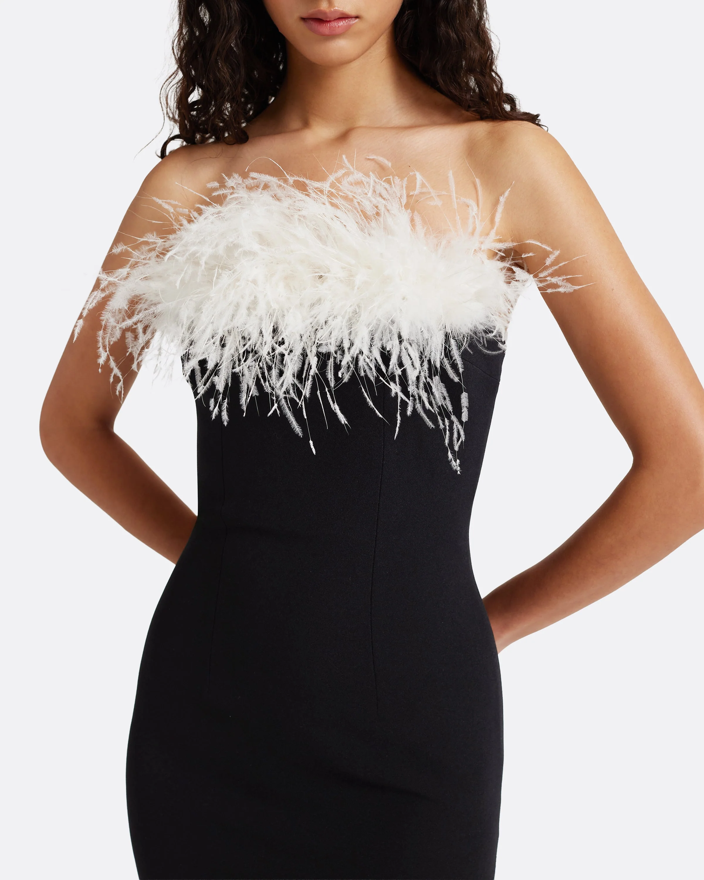 Aerine Midi Dress in Black with Feathers - Image 3